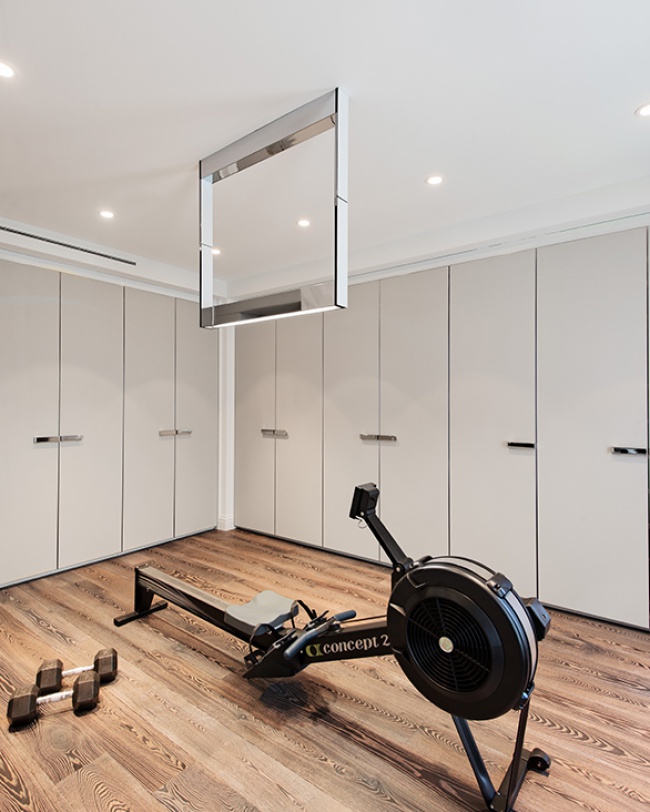 Modern classic design home gym